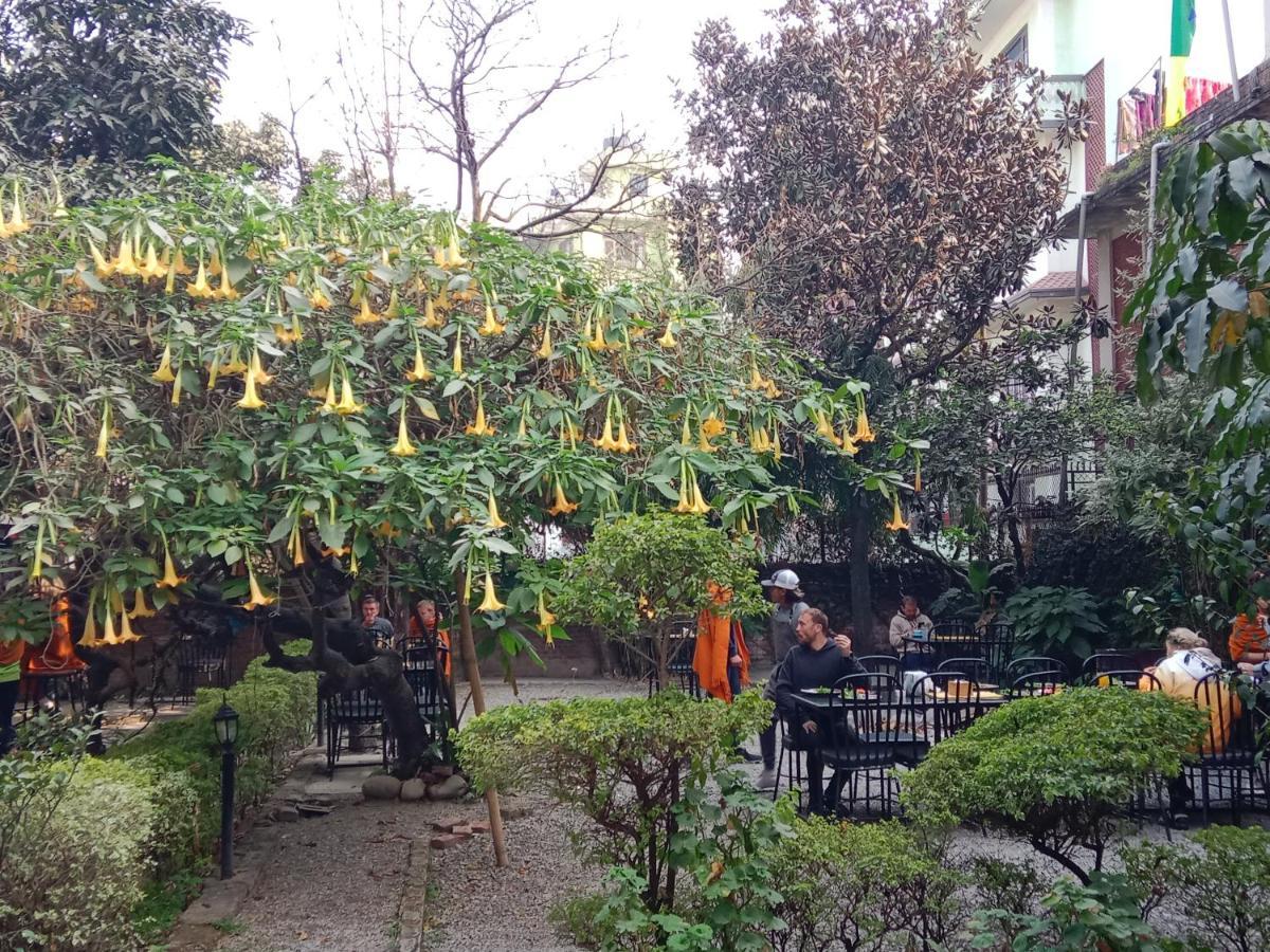 Hotel Lotus Garden Kathmandu Esterno foto